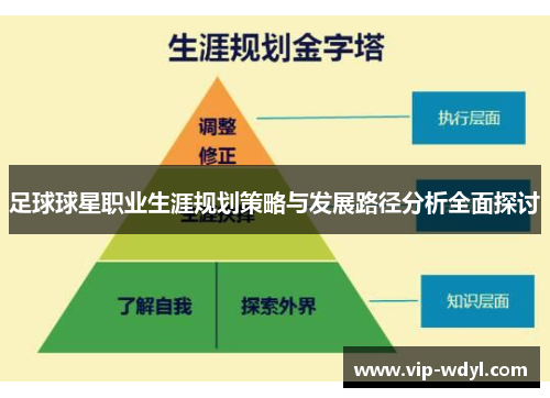 足球球星职业生涯规划策略与发展路径分析全面探讨