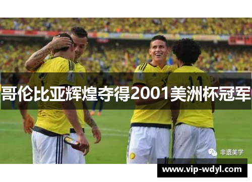 哥伦比亚辉煌夺得2001美洲杯冠军