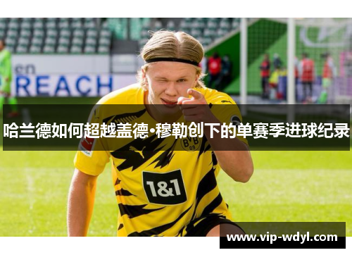 哈兰德如何超越盖德·穆勒创下的单赛季进球纪录 哈兰德如何超越盖德·穆勒创下的单赛季进球纪录