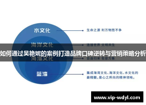 如何通过吴艳妮的案例打造品牌口碑逆转与营销策略分析