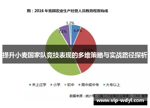 提升小麦国家队竞技表现的多维策略与实战路径探析 提升小麦国家队竞技表现的多维策略与实战路径探析