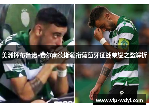 美洲杯布鲁诺·费尔南德斯领衔葡萄牙征战荣耀之路解析