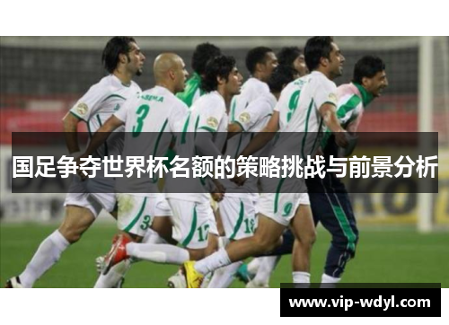 国足争夺世界杯名额的策略挑战与前景分析