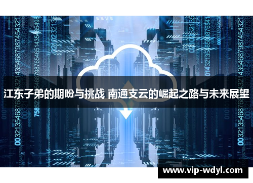 江东子弟的期盼与挑战 南通支云的崛起之路与未来展望