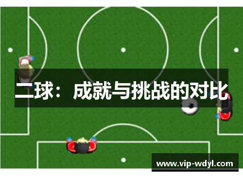 二球：成就与挑战的对比