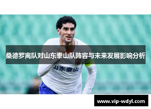 桑德罗离队对山东泰山队阵容与未来发展影响分析 桑德罗离队对山东泰山队阵容与未来发展影响分析