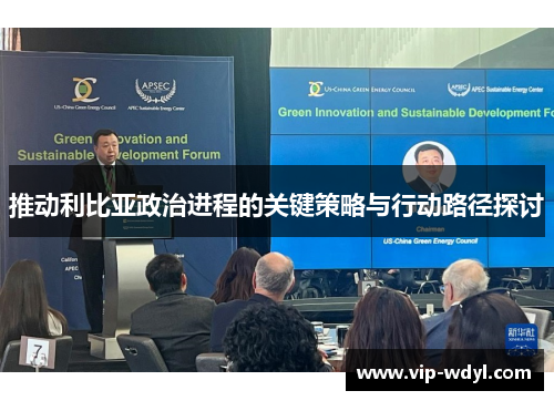 推动利比亚政治进程的关键策略与行动路径探讨