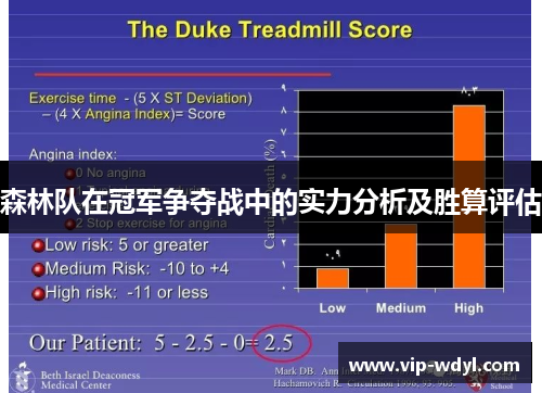 森林队在冠军争夺战中的实力分析及胜算评估