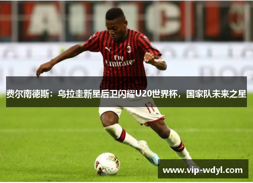 费尔南德斯：乌拉圭新星后卫闪耀U20世界杯，国家队未来之星