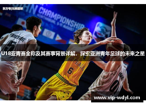 U18亚青赛全称及其赛事背景详解，探索亚洲青年足球的未来之星
