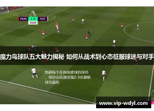 魔力鸟球队五大魅力揭秘 如何从战术到心态征服球迷与对手