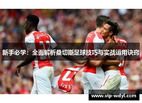 新手必学：全面解析桑切斯足球技巧与实战运用诀窍