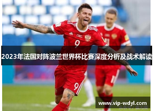 2023年法国对阵波兰世界杯比赛深度分析及战术解读