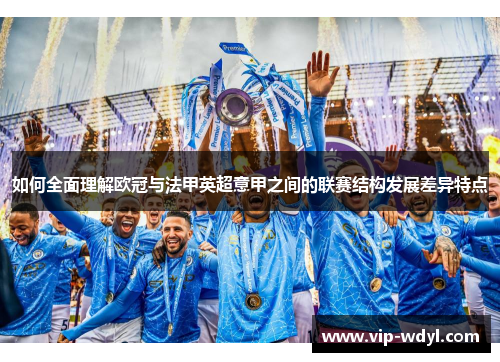 如何全面理解欧冠与法甲英超意甲之间的联赛结构发展差异特点 如何全面理解欧冠与法甲英超意甲之间的联赛结构发展差异特点